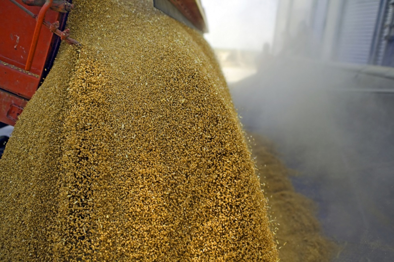 Экспортную пошлину на пшеницу из РФ снизят до 2 668,3 рублей